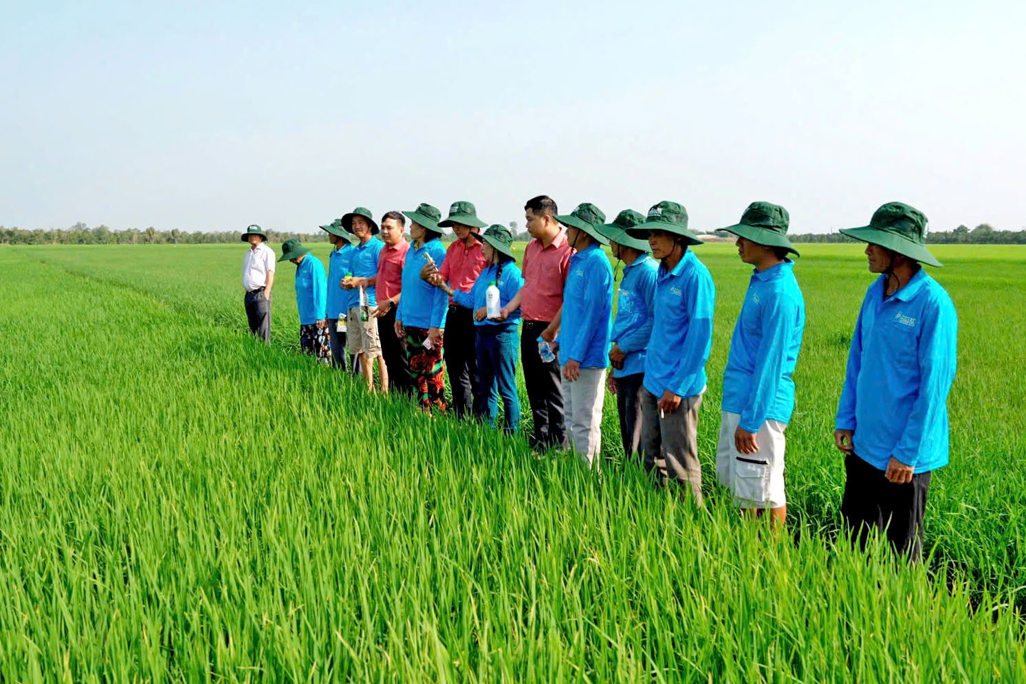 Tiger Humic Summit Nông Nghiệp Bền Vững